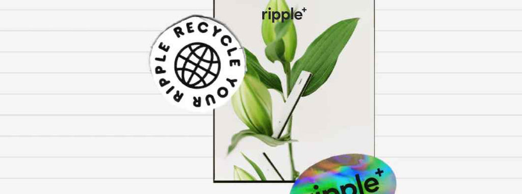 Collage of ripple stickers and plant photo
