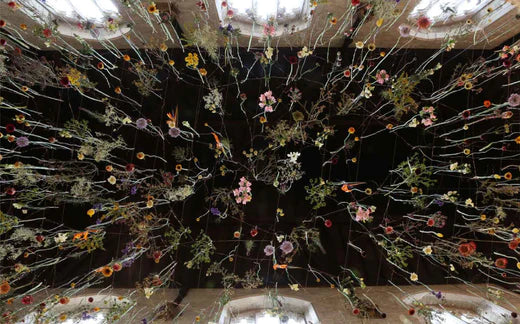 Flowers hanging from a ceiling; herbs for stress and anxiety