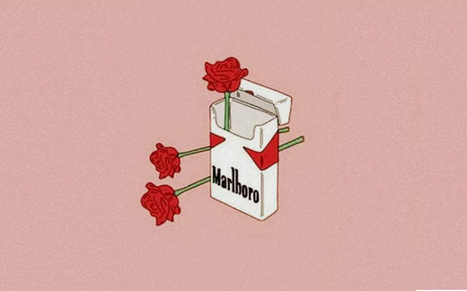 Illustration of Marlboro pack with roses inside 