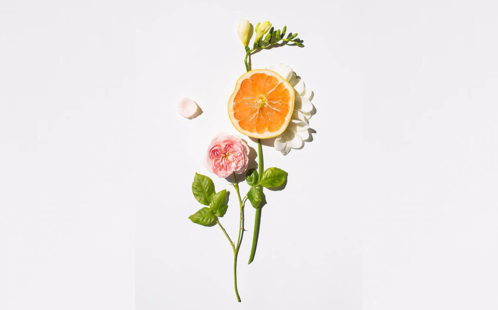 flower and fruit ikebana - What is Aromatherapy - Ripple+