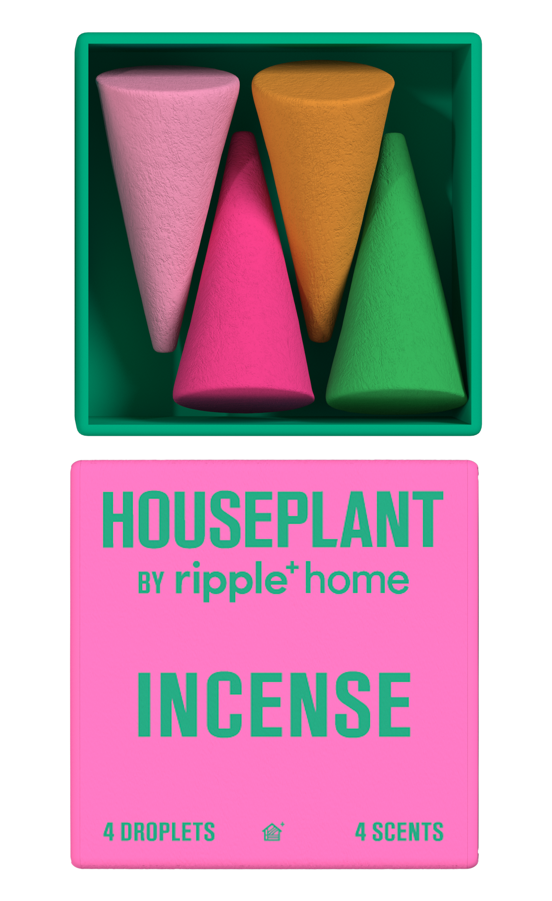 HOUSEPLANT MINI
